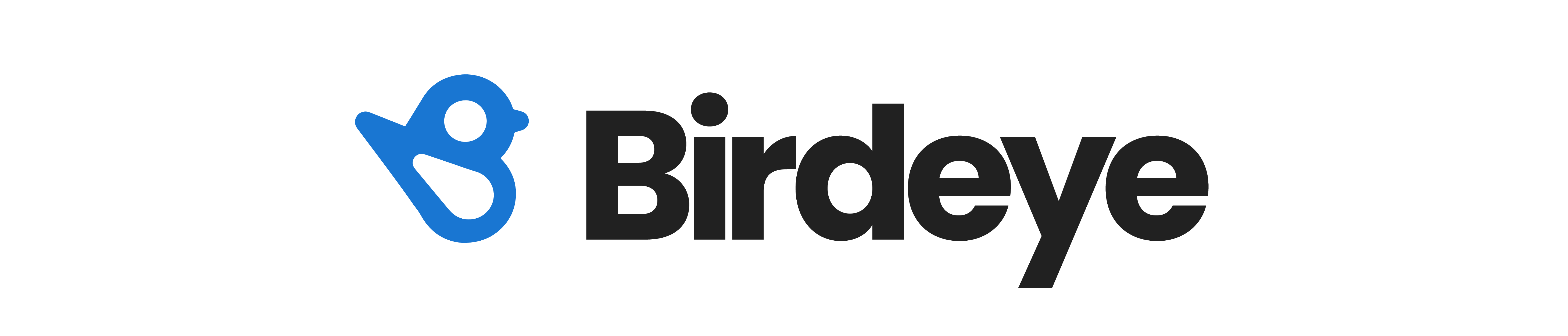 Birdeye